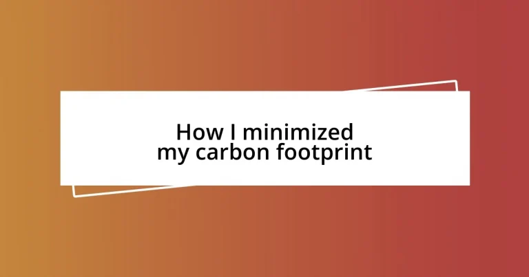 How I minimized my carbon footprint